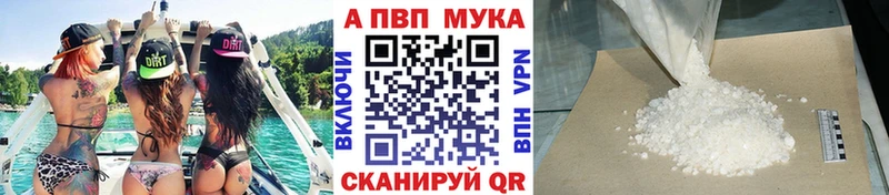 кракен маркетплейс  Кизел  Альфа ПВП СК  как найти  