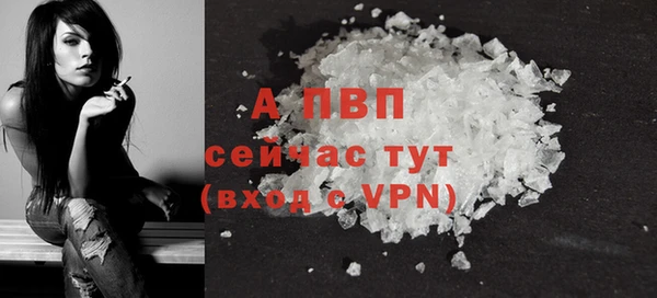 стафф Алексин