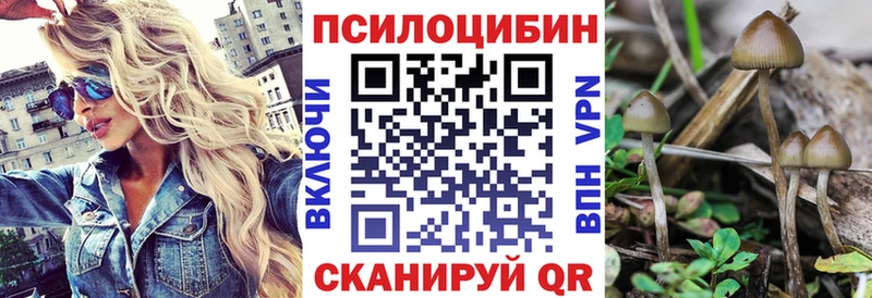 Псилоцибиновые грибы MAGIC MUSHROOMS  цена наркотик  Кизел 