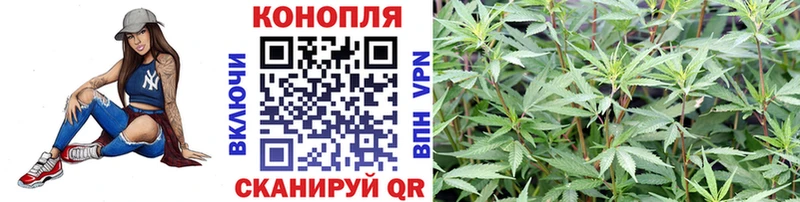 закладки  blacksprut как войти  Конопля гибрид  Кизел 